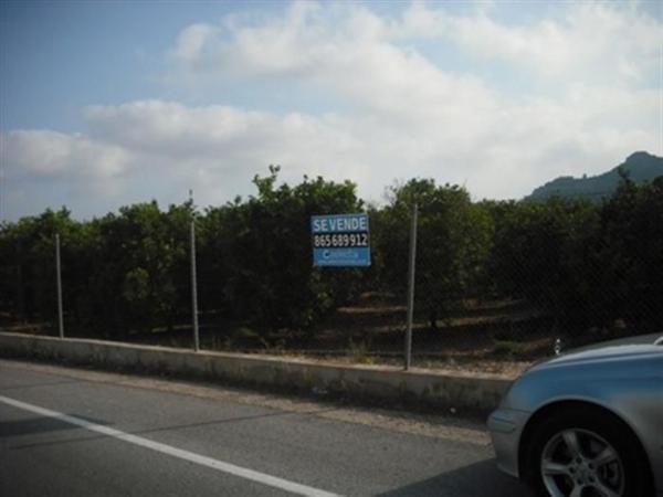 Terreno en Centro, Pedreguer thumbnail 3