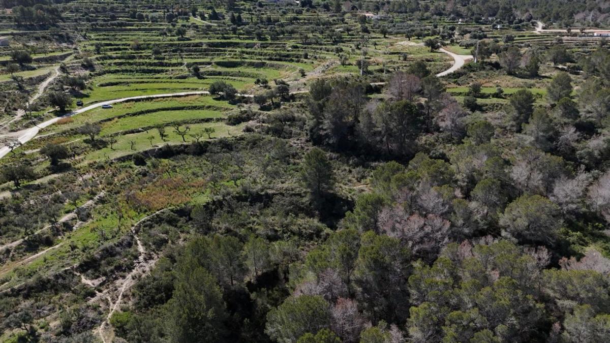 Terreno en venta en Benissa, Alicante photo 1