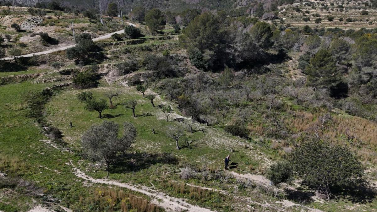 Terreno en venta en Benissa, Alicante photo 3