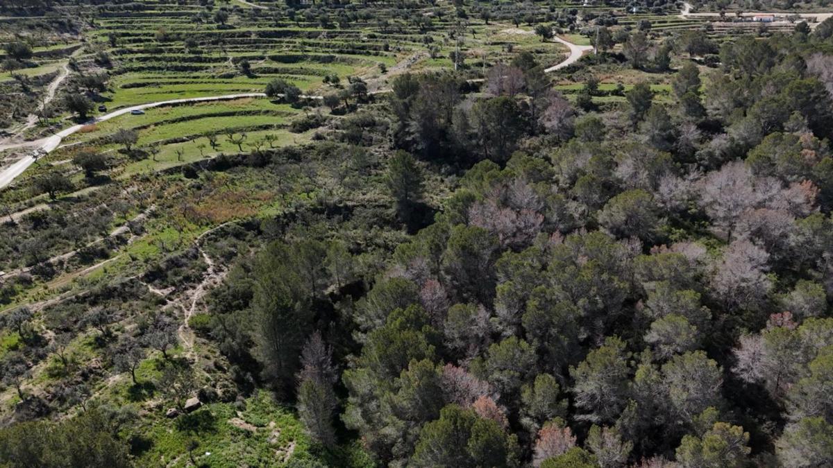 Terreno en venta en Benissa, Alicante photo 5