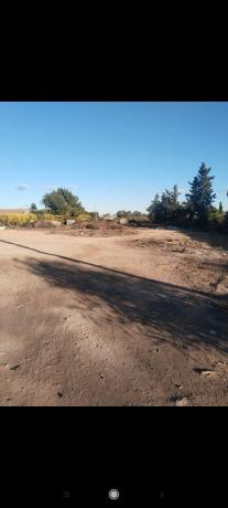 Terreno en los perez s/n, Los Montesinos photo 1