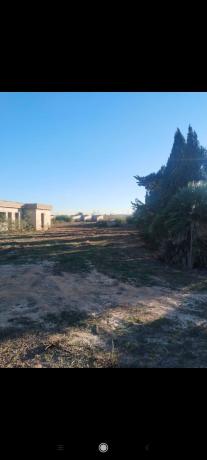 Terreno en los perez s/n, Los Montesinos thumbnail 2