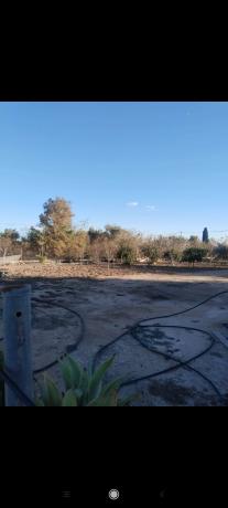 Terreno en los perez s/n, Los Montesinos thumbnail 3