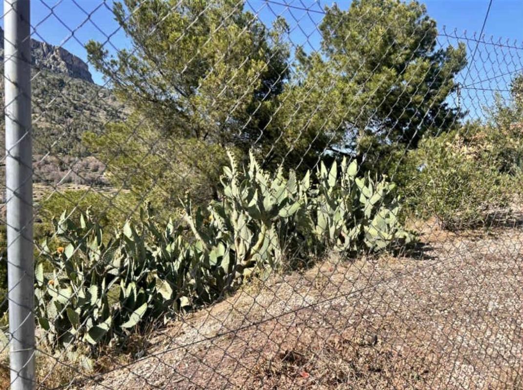 Land for sale in Calpe, Alicante photo 5
