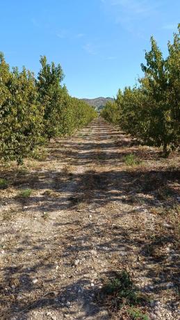 Terreno en Valle de Aspe s/n, Prosperidad - La Cruz, Aspe thumbnail 2