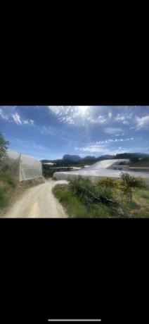 Terreno en Calle La Ofra, km 1, Callosa d'En Sarria thumbnail 3