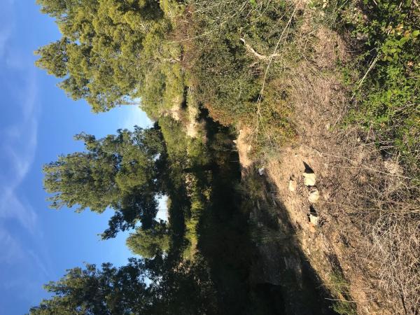Terreno en Partida Empedrola Sup, Cometa-Carrió, Calpe thumbnail 3