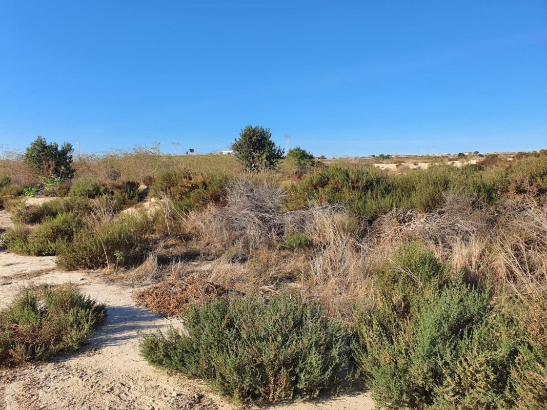 Terreno en venta en Alicante / Alacant, Alicante photo 2