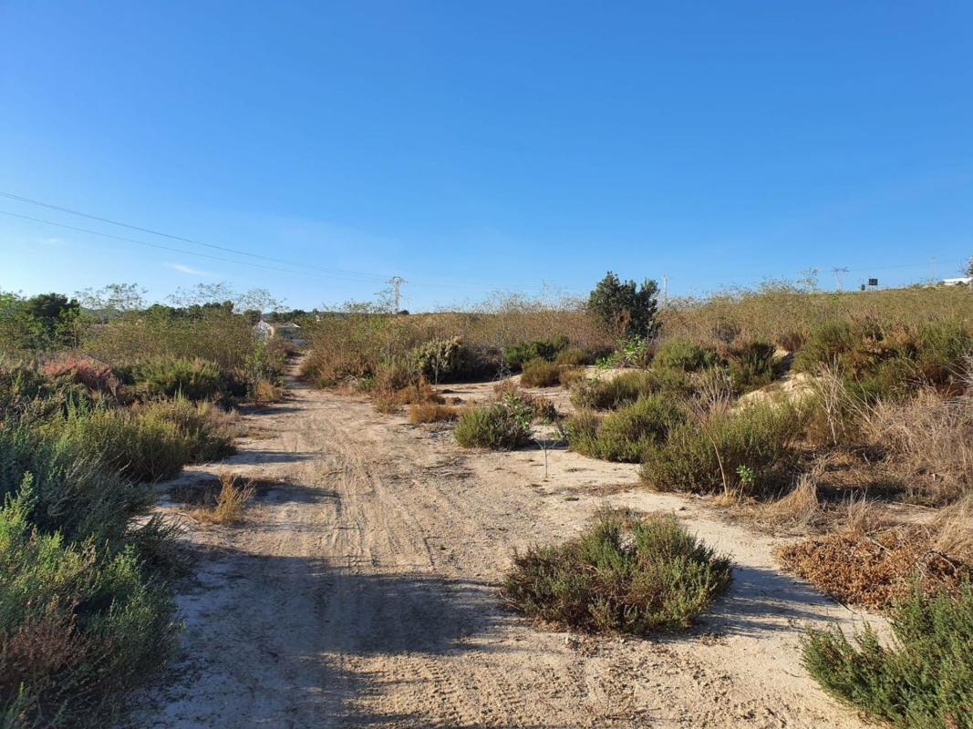 Terreno en venta en Alicante / Alacant, Alicante photo 5