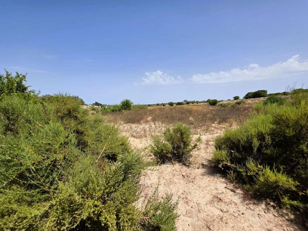 Terreno en venta en Elche / Elx, Alicante photo 1
