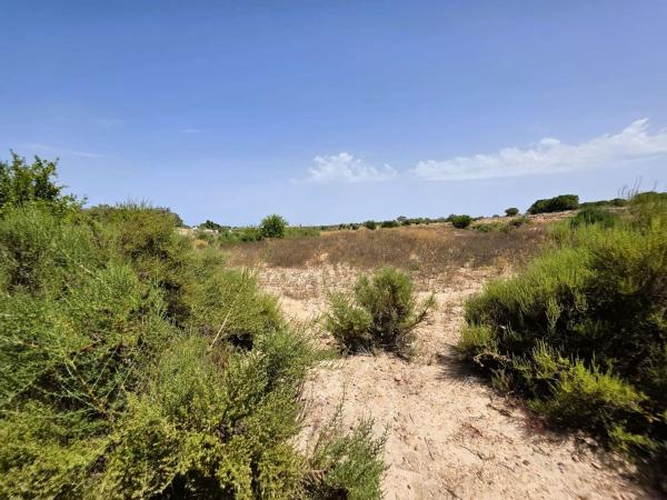 Terreno en El Altet - Balsares, Elche / Elx photo 1