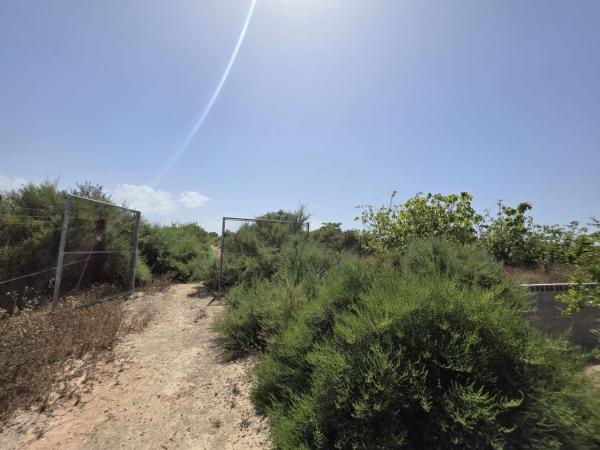 Terreno en El Altet - Balsares, Elche / Elx thumbnail 3