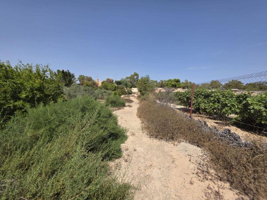 Terreno en venta en Elche / Elx, Alicante photo 4
