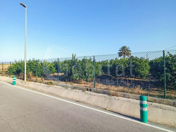 Terreno en Cv-945, 18, Los Montesinos photo 1