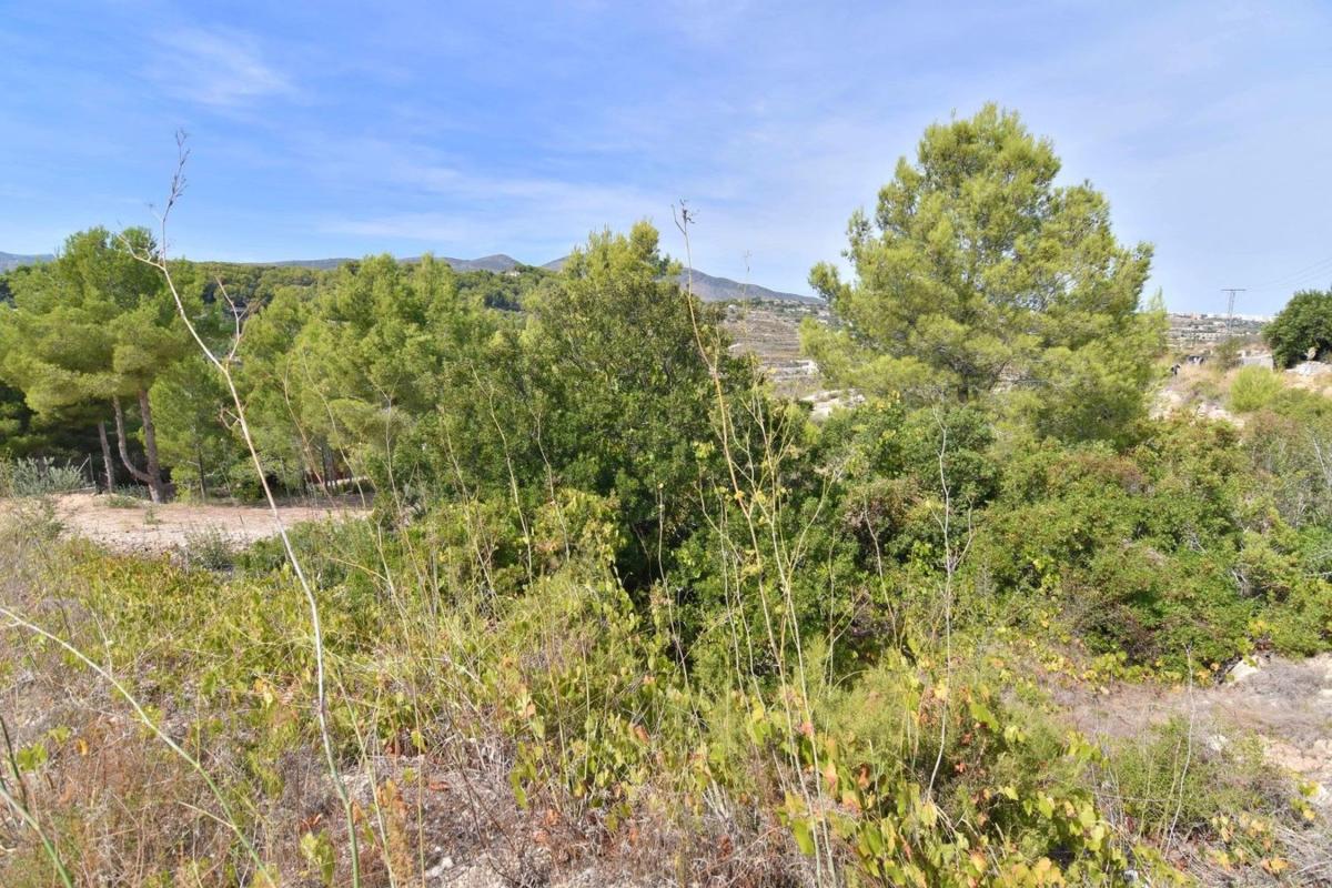 Land for sale in Calpe, Alicante photo 2