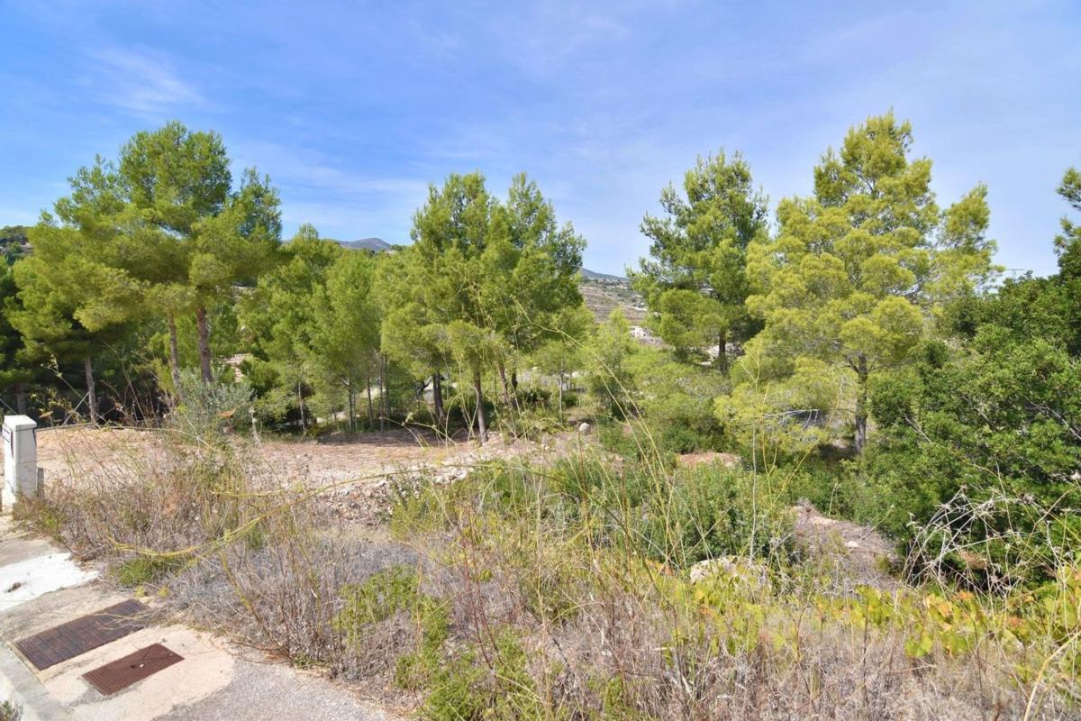 Land for sale in Calpe, Alicante photo 3