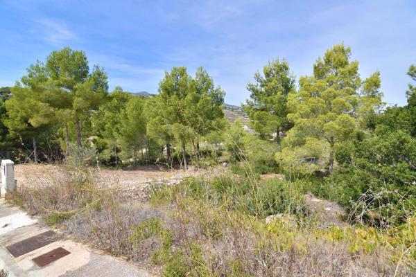 Terreno en Cometa-Carrió, Calpe thumbnail 3