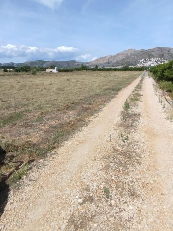 Land for sale in Benidoleig, Alicante photo 5