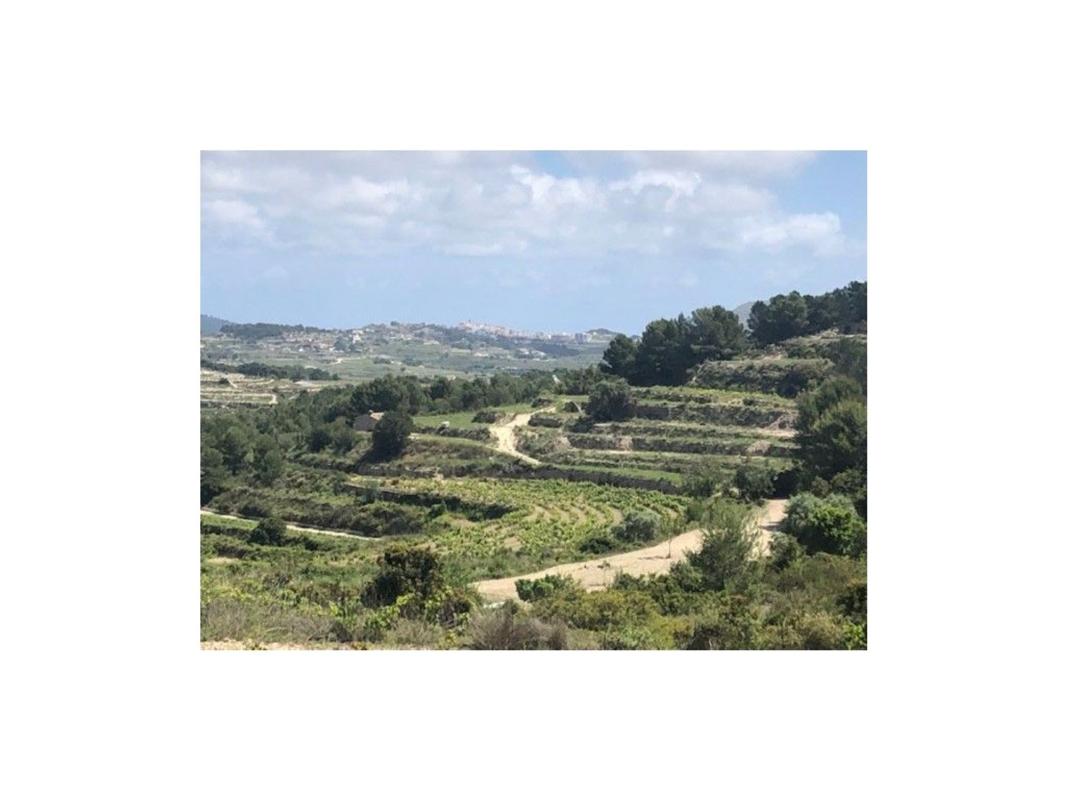 Land for sale in Teulada, Alicante photo 4