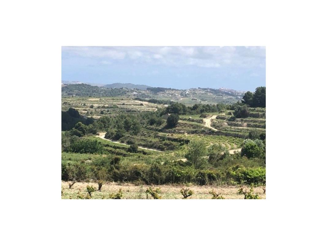 Land for sale in Teulada, Alicante photo 5