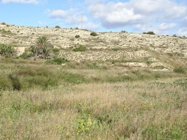 Terreno en San Juan, Aspe thumbnail 2