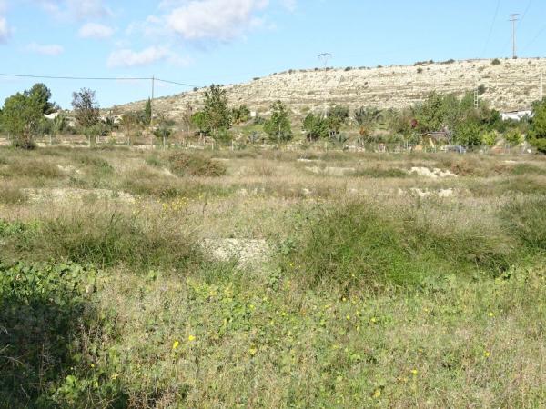 Terreno en San Juan, Aspe photo 4