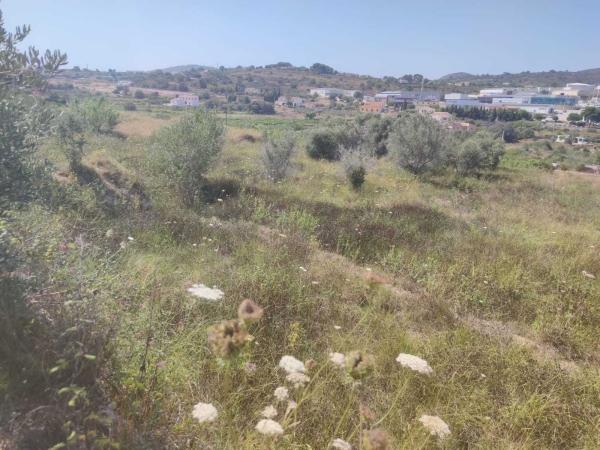 Terreno en Benissa pueblo, Benissa thumbnail 2