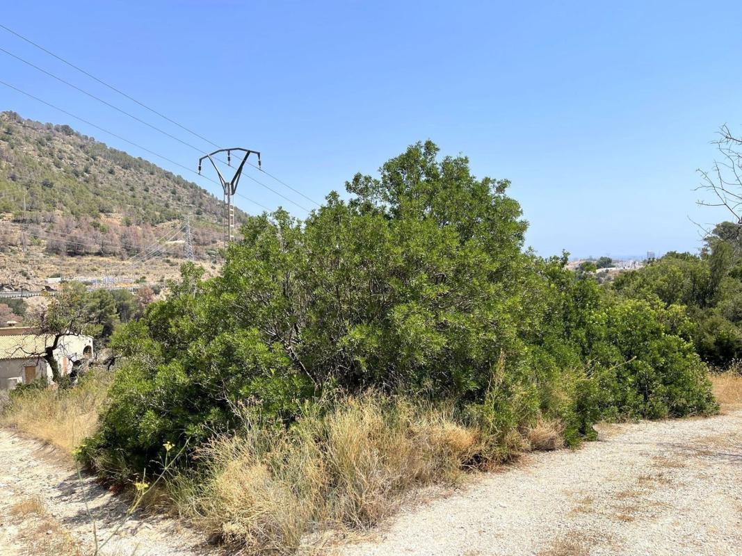 Terreno en venta en Calpe, Alicante photo 3