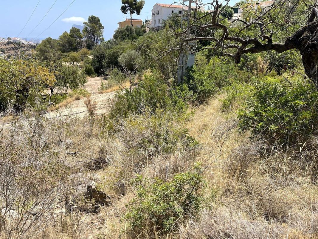 Terreno en venta en Calpe, Alicante photo 5