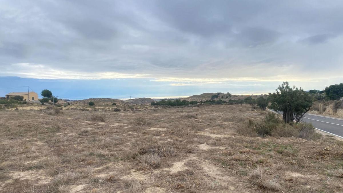 Land for sale in Mutxamel, Alicante photo 2
