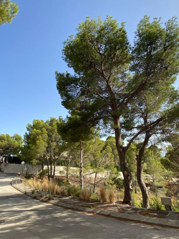 Terreno en venta en Altea, Alicante photo 2