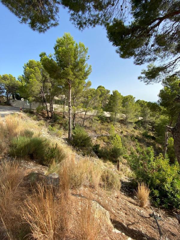Terreno en venta en Altea, Alicante photo 3