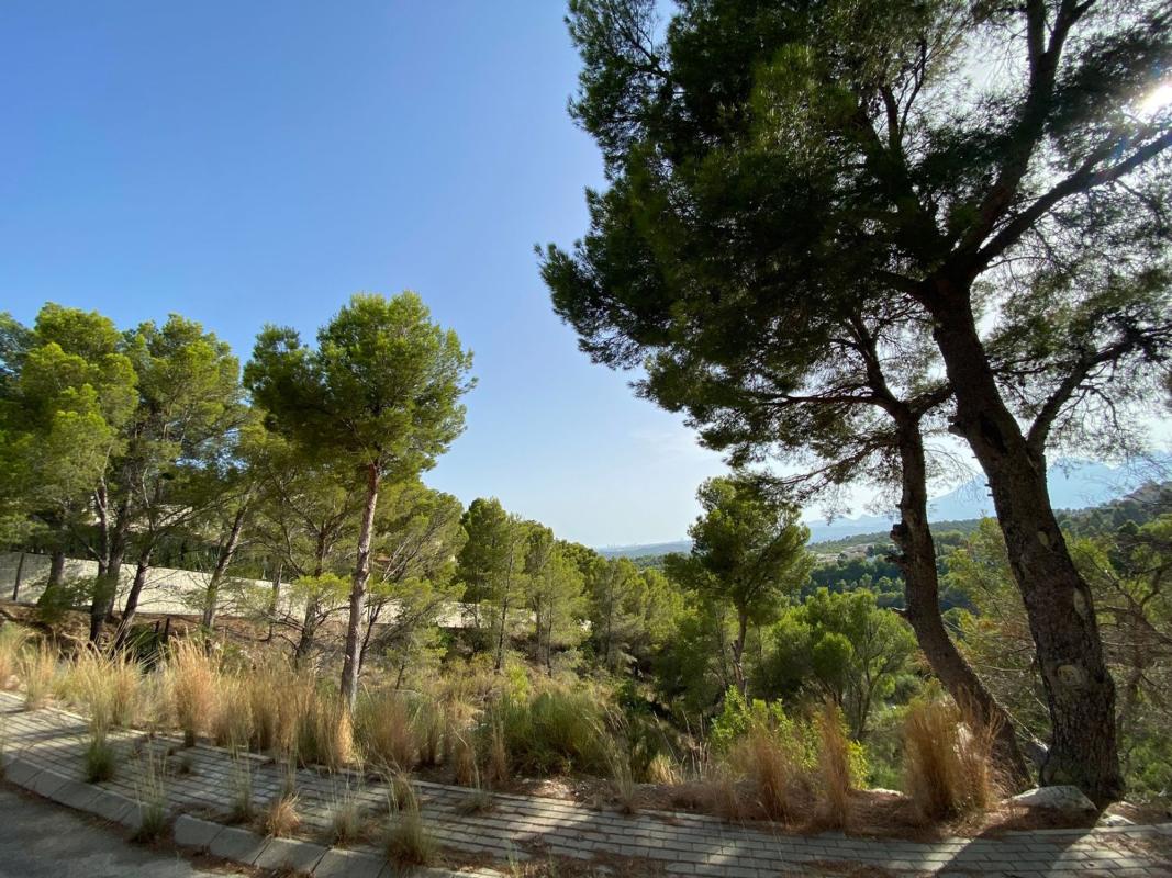 Terreno en venta en Altea, Alicante photo 5