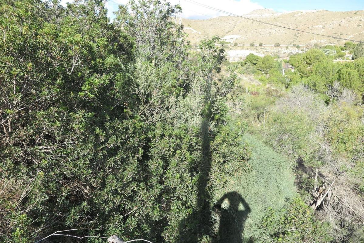 Land for sale in El Campello, Alicante photo 1
