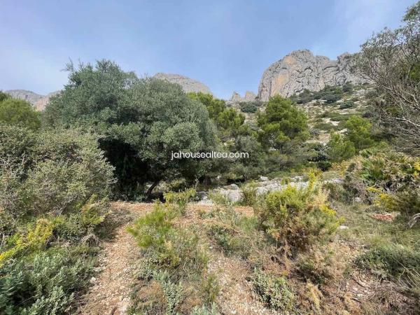 Terreno en Altea la Vella, Altea thumbnail 3