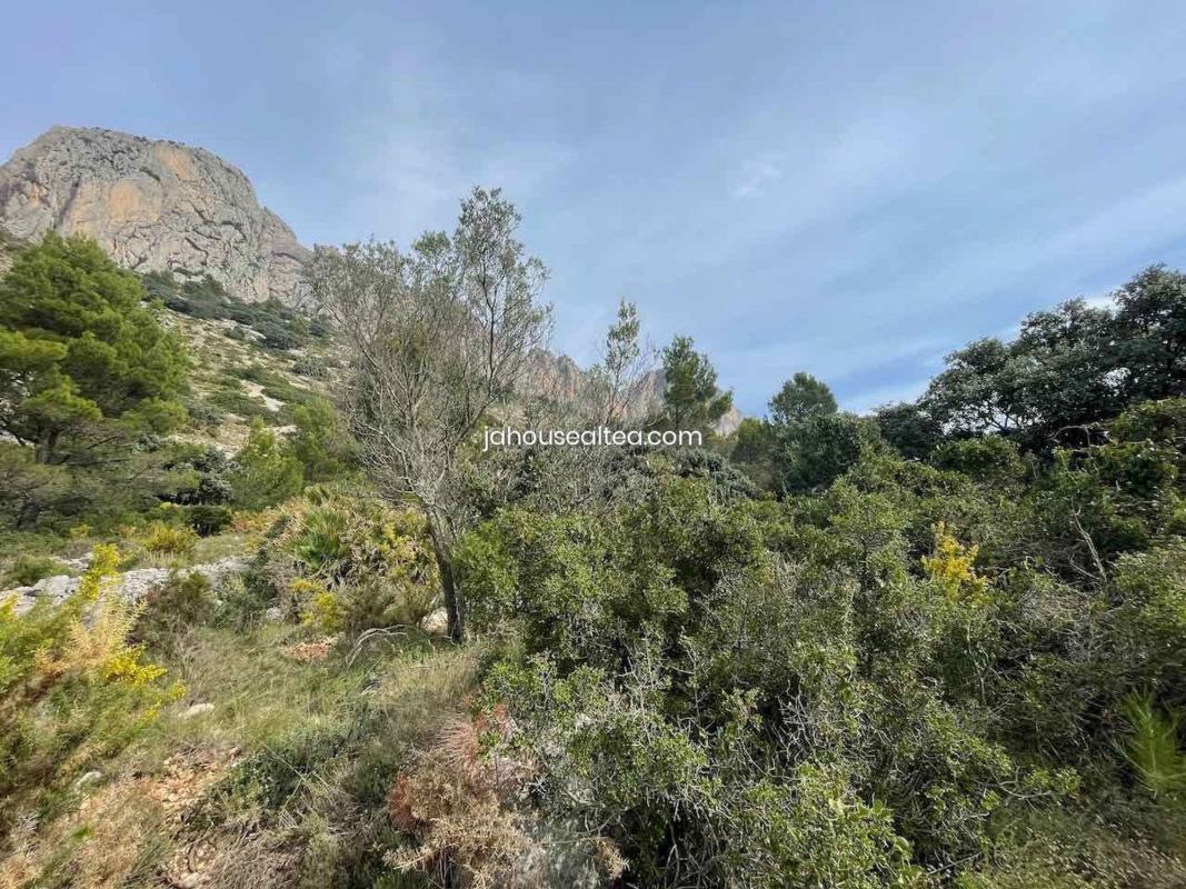 Działka na sprzedaż w Altea, Alicante photo 4