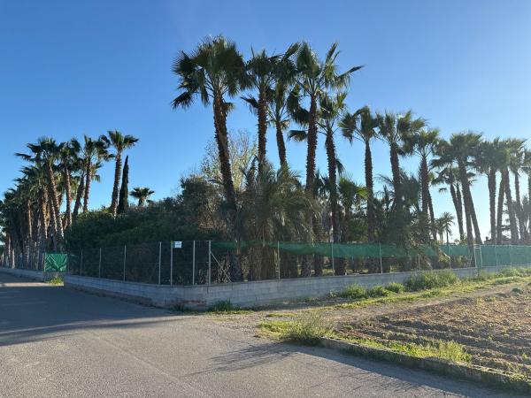 Terreno en Cv-9220, 39, Molins-Campaneta-San Bartolomé, Orihuela photo 1