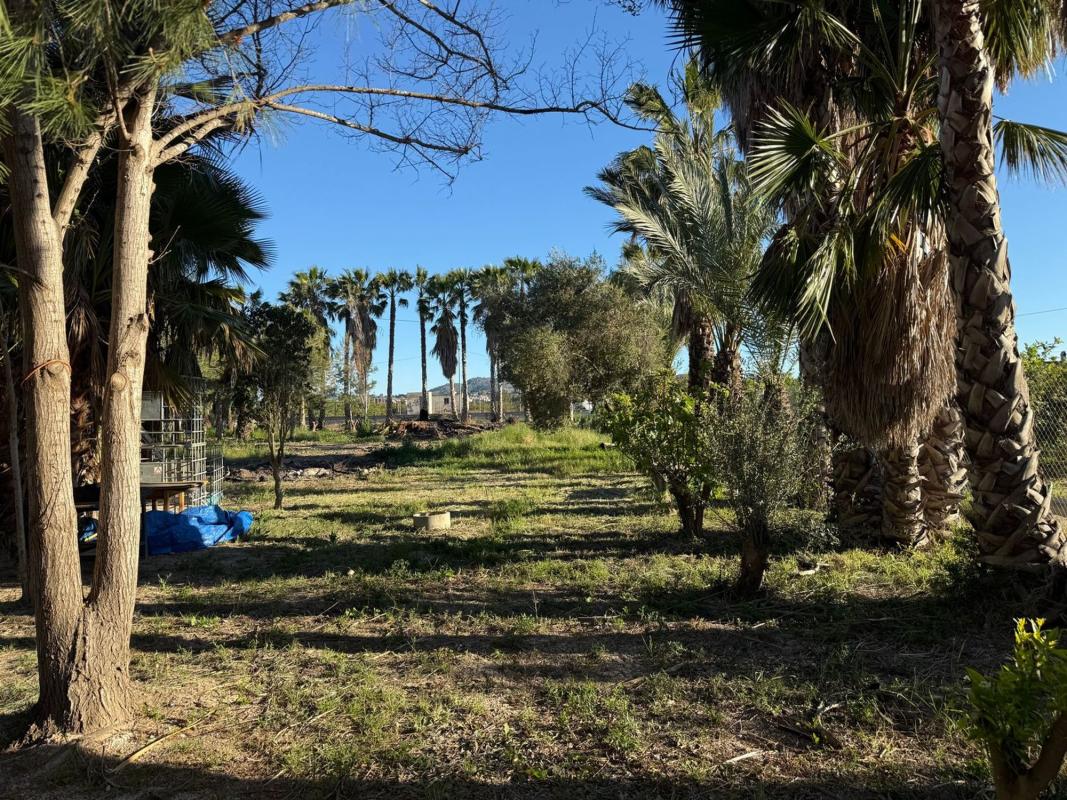 Terreno en venta en Orihuela, Alicante photo 2