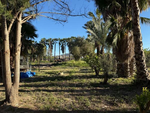 Terreno en Cv-9220, 39, Molins-Campaneta-San Bartolomé, Orihuela thumbnail 2