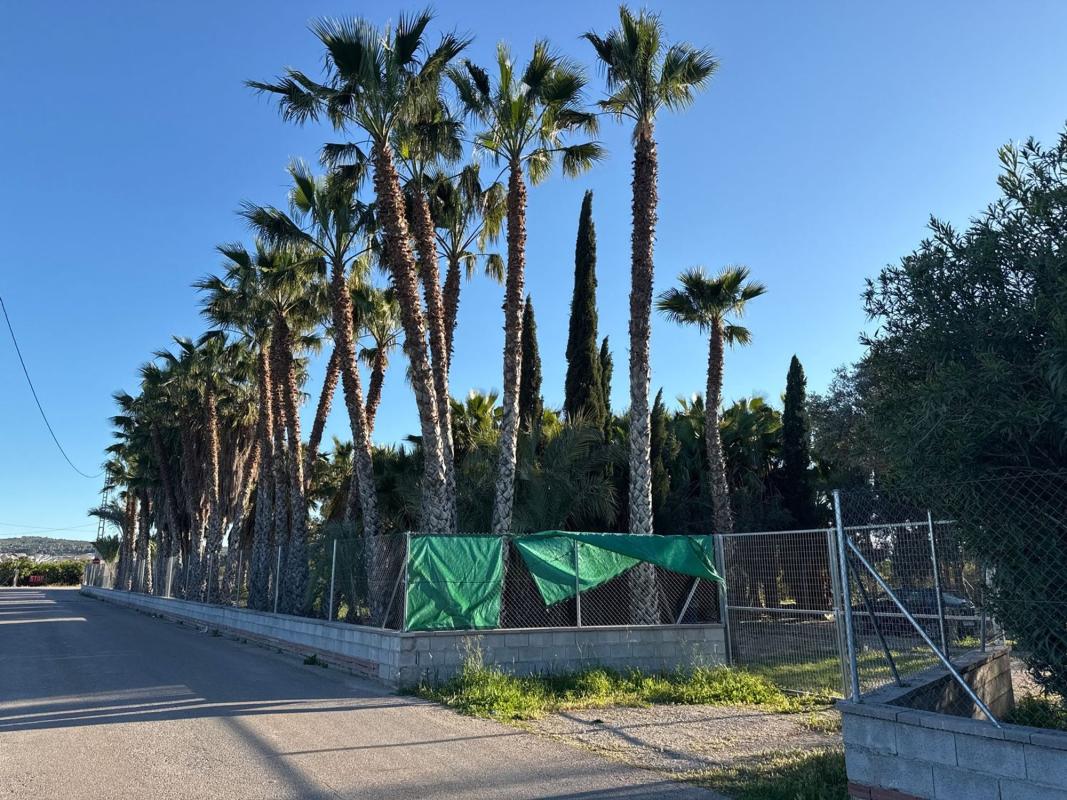 Terreno en venta en Orihuela, Alicante photo 3