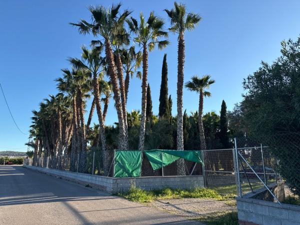 Terreno en Cv-9220, 39, Molins-Campaneta-San Bartolomé, Orihuela thumbnail 3