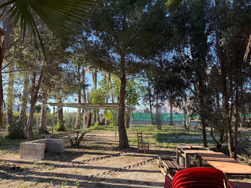 Terreno en venta en Orihuela, Alicante photo 4