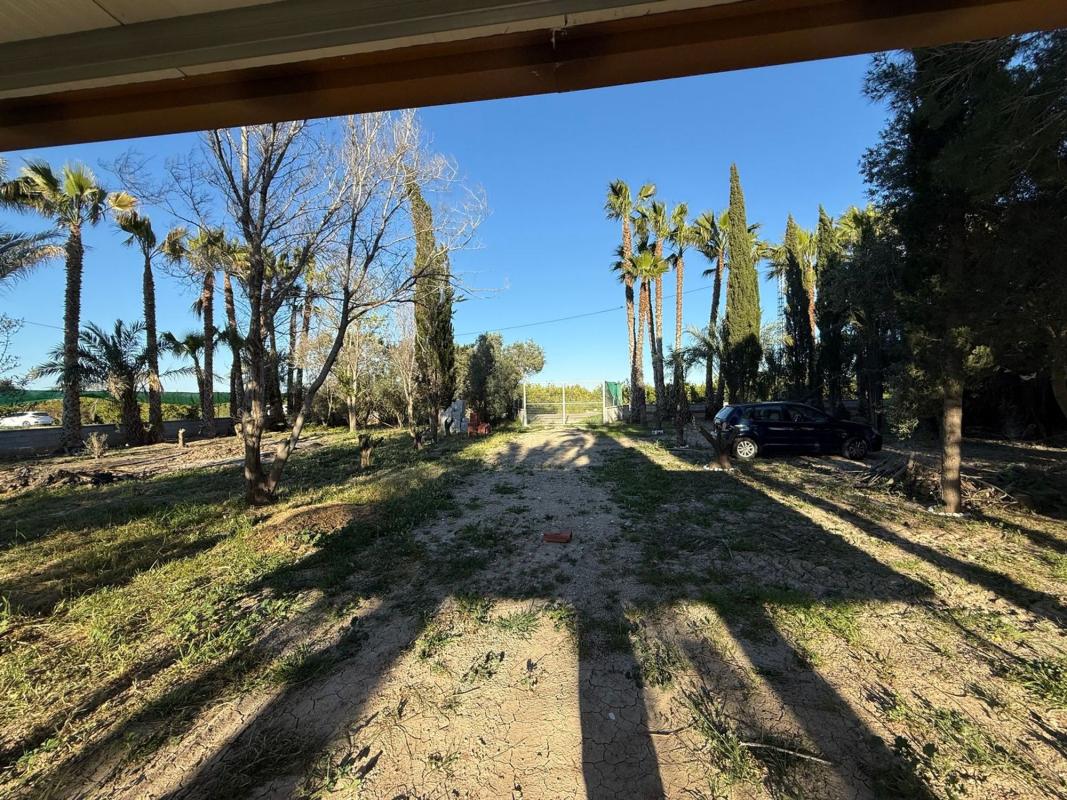 Terreno en venta en Orihuela, Alicante photo 5