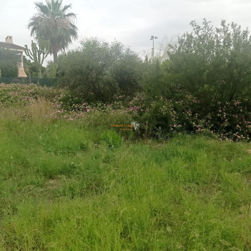 Terreno en venta en Elche / Elx, Alicante photo 1