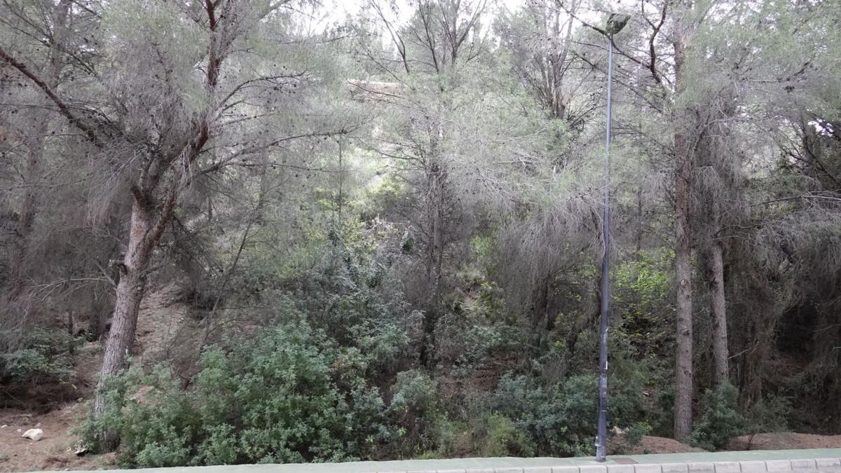 Terreno en venta en Altea, Alicante photo 2