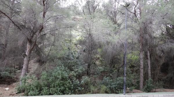 Terreno en Calle Chambele, 10, Zona de Mascarat, Altea photo 2