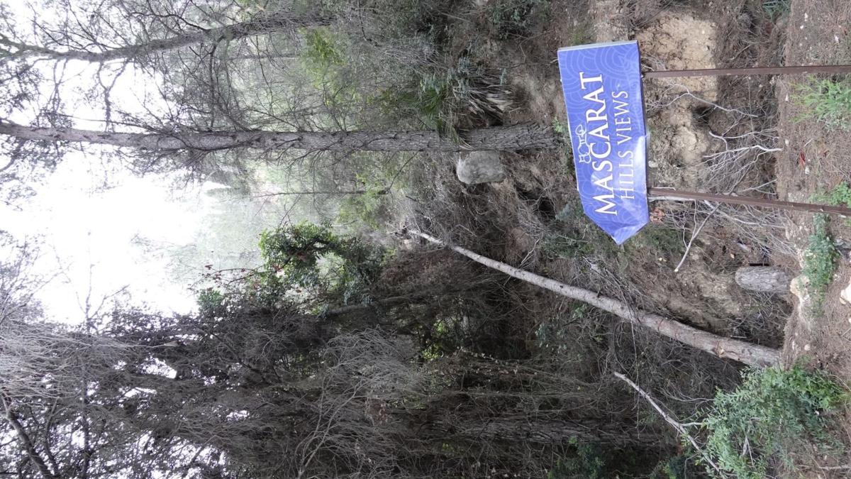 Terreno en venta en Altea, Alicante photo 3