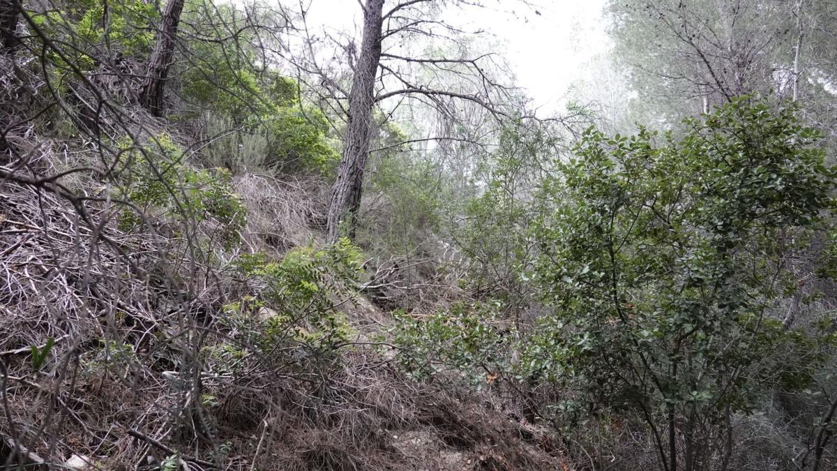 Terreno en venta en Altea, Alicante photo 4