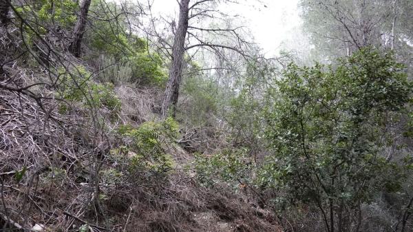 Terreno en Calle Chambele, 10, Zona de Mascarat, Altea photo 4