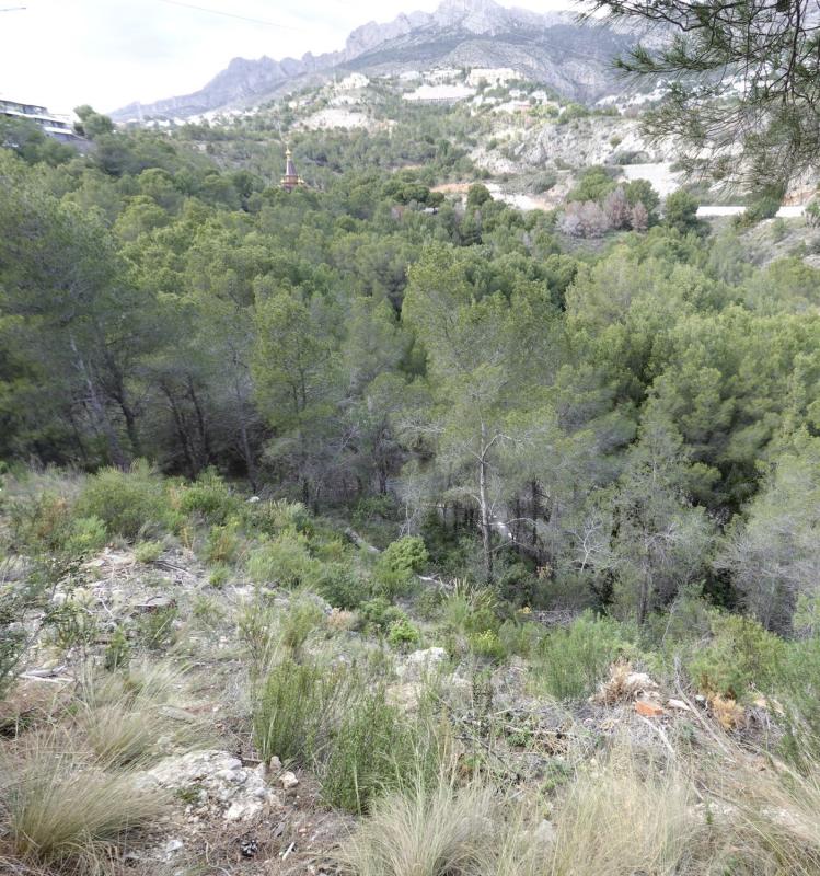 Terreno en venta en Altea, Alicante photo 5